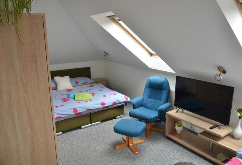 פנסיון Penzion Aura