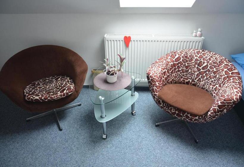 פנסיון Penzion Aura