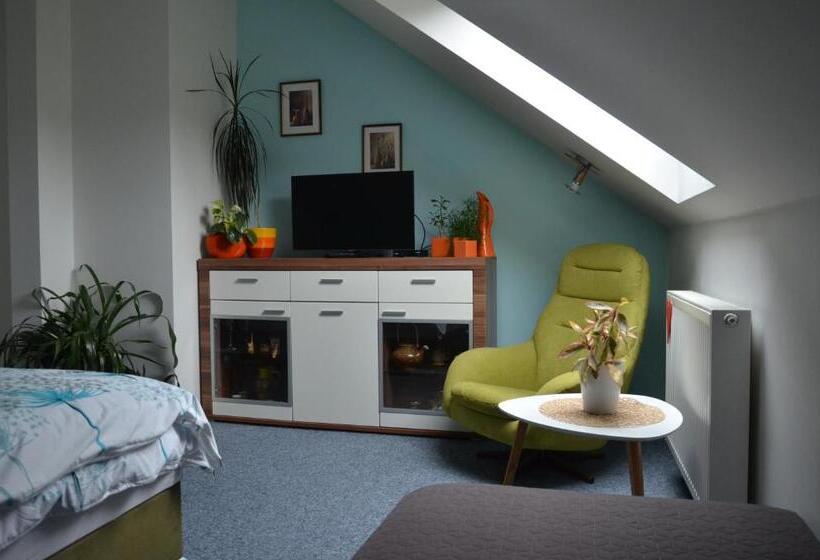 פנסיון Penzion Aura