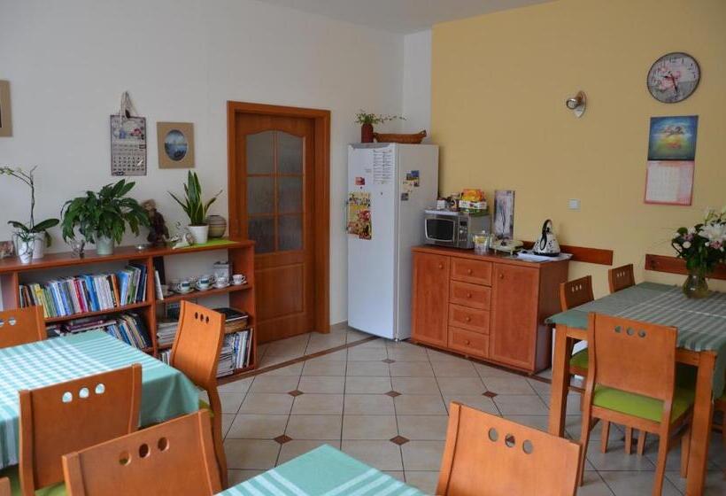 פנסיון Penzion Aura