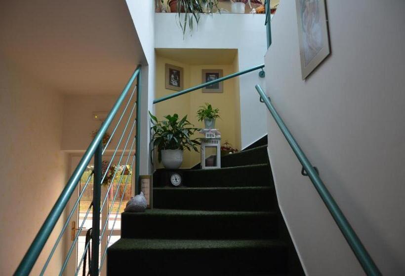 פנסיון Penzion Aura