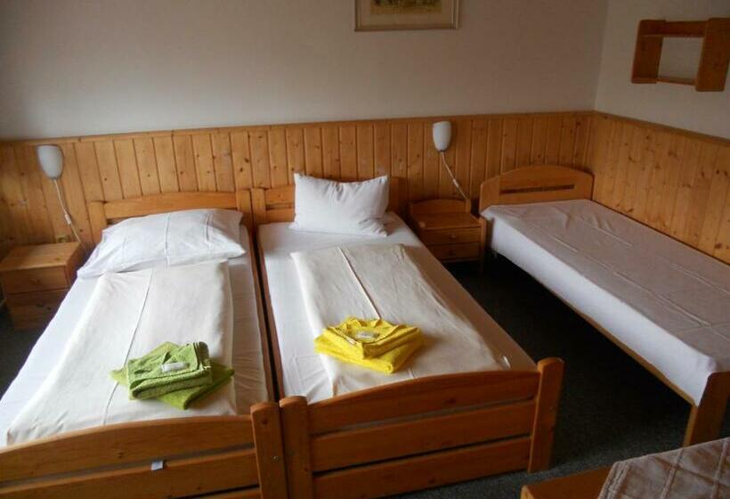 פנסיון Penzion Kamzík