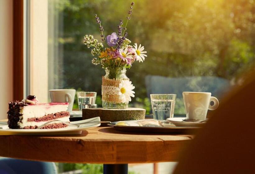 膳宿费 Penzion Na Kraji Lesa