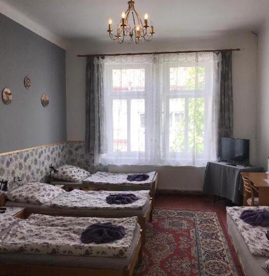 פנסיון Penzion Rajf