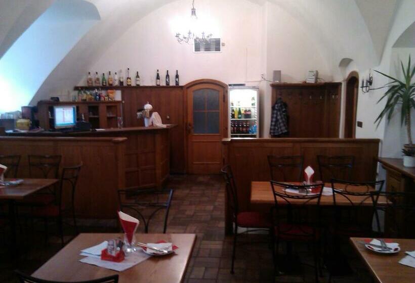 פנסיון Penzion S Restaurací U Mlyna Com