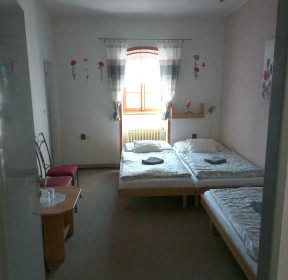 פנסיון Penzion S Restaurací U Mlyna Com