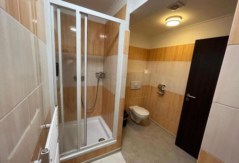 بنسيون Penzion Statek Bernard