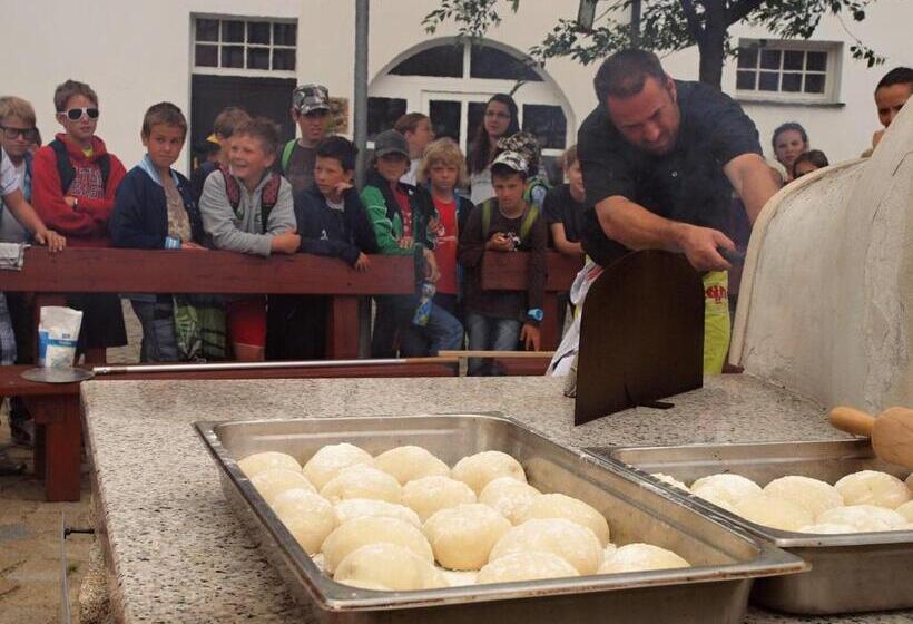 بنسيون Penzion Statek Bernard