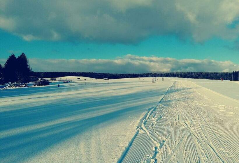 بنسيون Penzion Tina