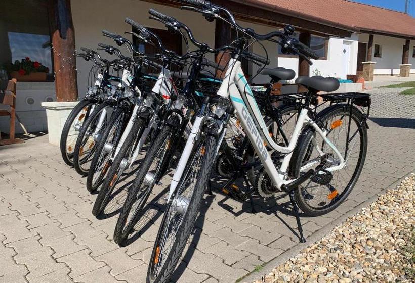 펜션 Pillangó Vendégház