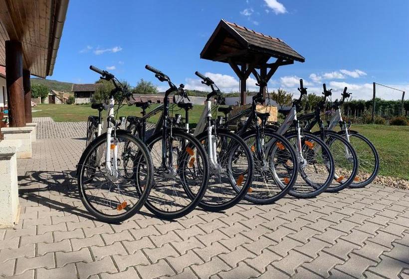 펜션 Pillangó Vendégház