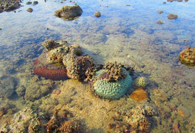 بنسيون Rattana Bungalow Koh Chang