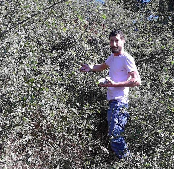 פנסיון Rifugio Alpi Apuane