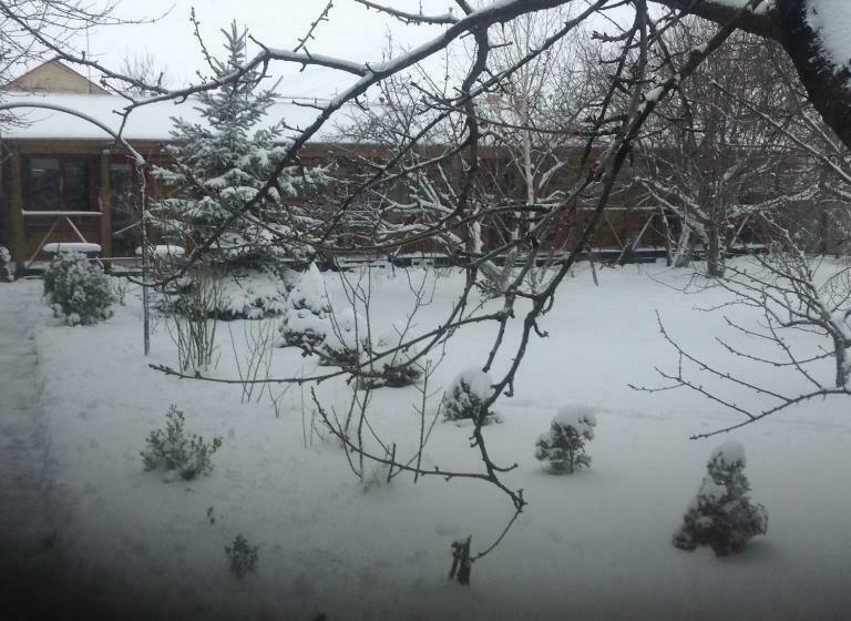 פנסיון Sea Side House