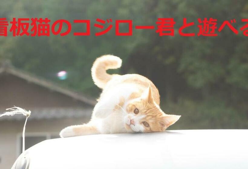 بنسيون Sky Tea House