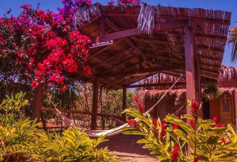 Пансион Sol De Playa