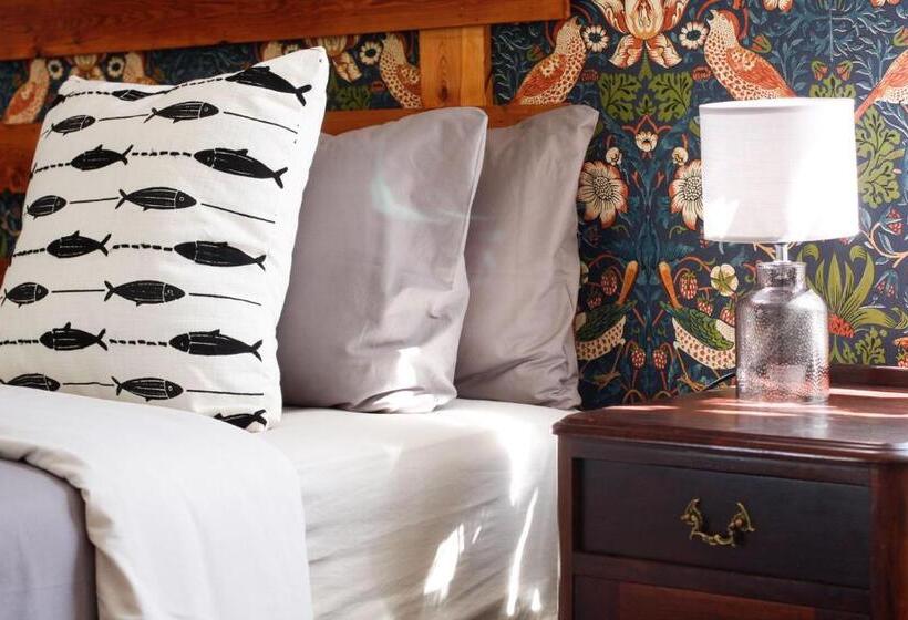 膳宿费 Steytlerville Royal