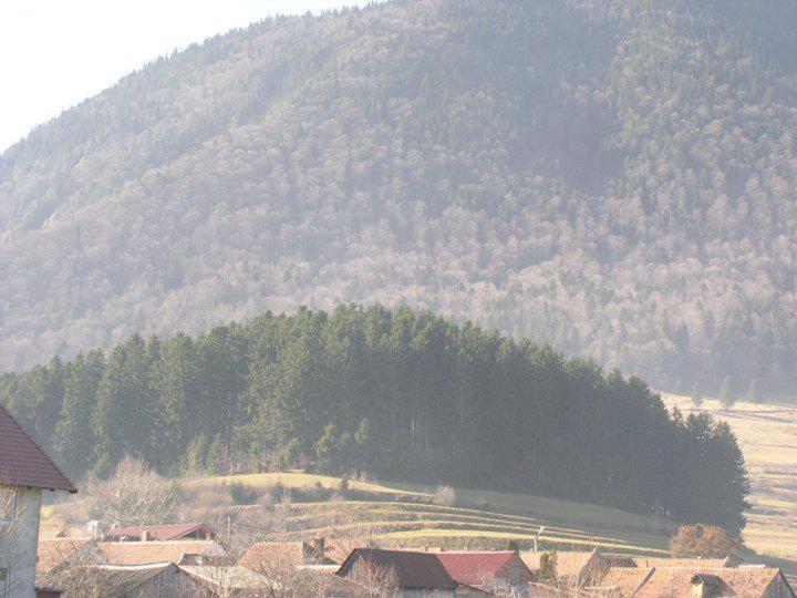 펜션 Sura Pietrei Craiului