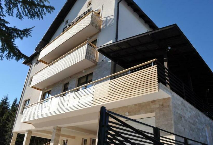 بنسيون Transylvania Villa & Spa