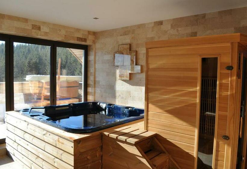 بنسيون Transylvania Villa & Spa