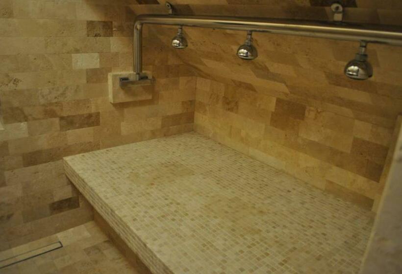 بنسيون Transylvania Villa & Spa