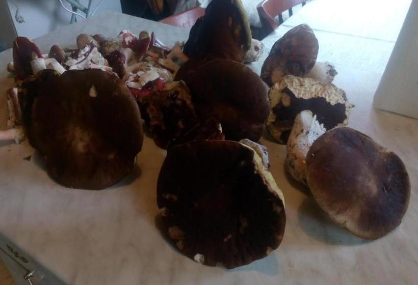 膳宿费 U Tří Koček