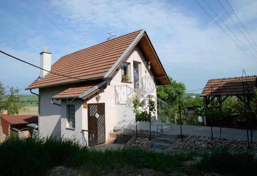 פנסיון Ubytování U Rybníka Bořetice