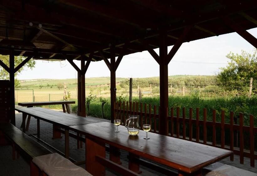 펜션 Ubytování U Rybníka Bořetice