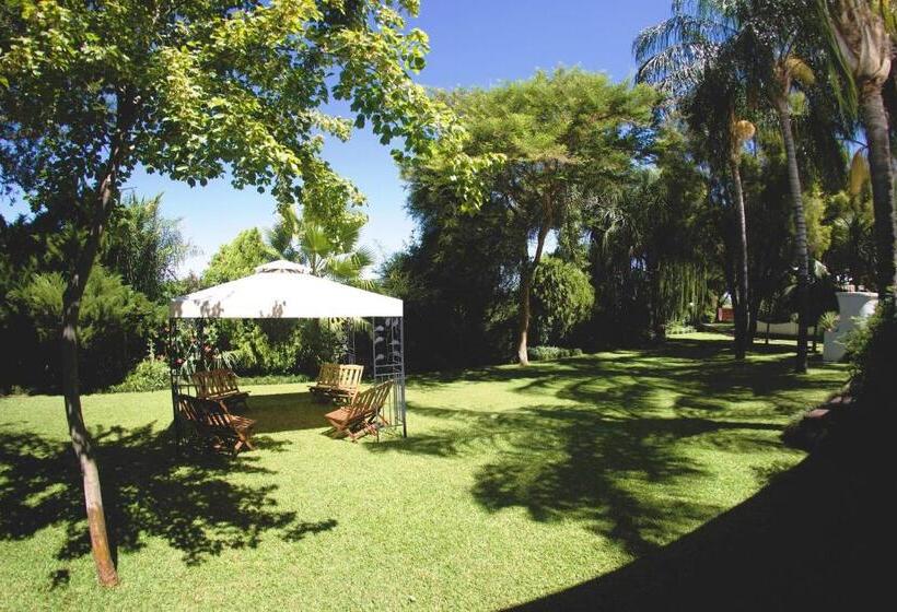 פנסיון Upington African Vineyard Boutique Hotel & Spa