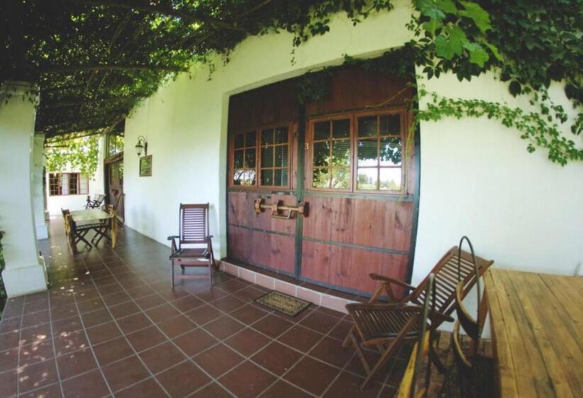 פנסיון Upington African Vineyard Boutique Hotel & Spa