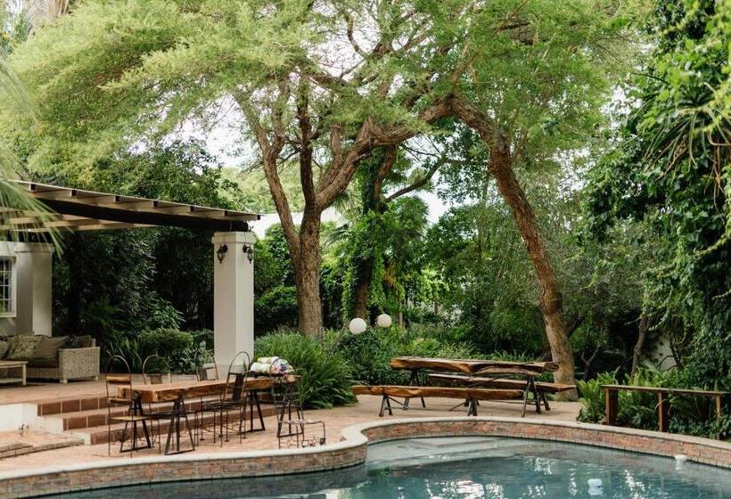 פנסיון Upington African Vineyard Boutique Hotel & Spa