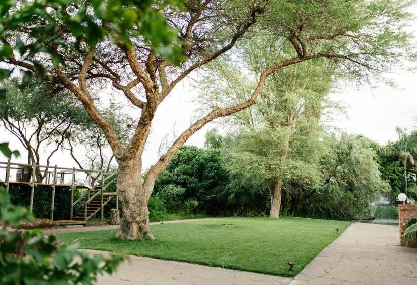 פנסיון Upington African Vineyard Boutique Hotel & Spa