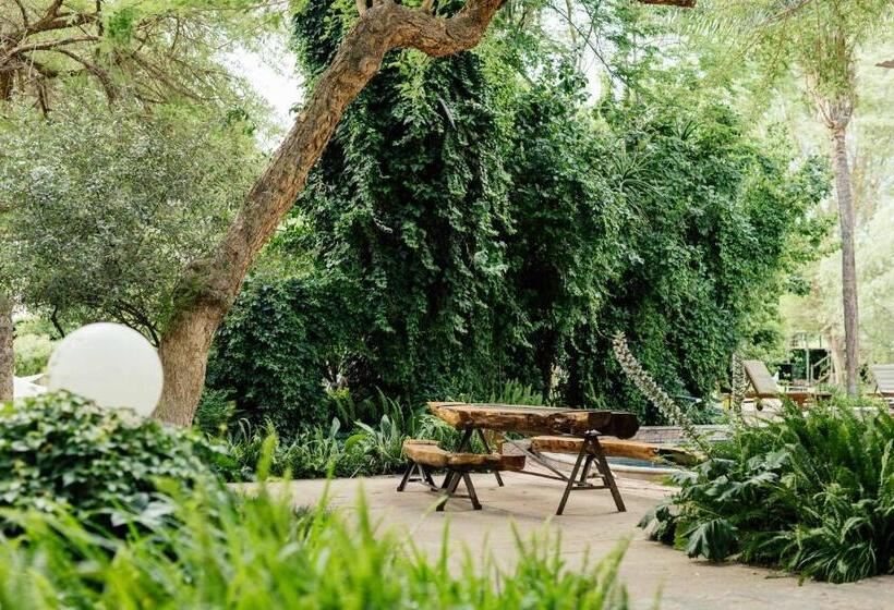 פנסיון Upington African Vineyard Boutique Hotel & Spa