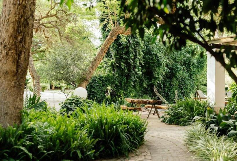 פנסיון Upington African Vineyard Boutique Hotel & Spa