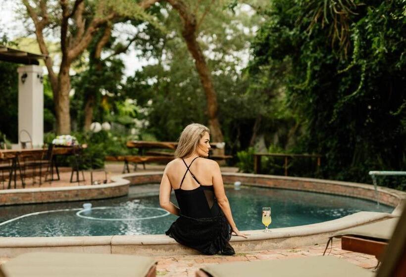 פנסיון Upington African Vineyard Boutique Hotel & Spa