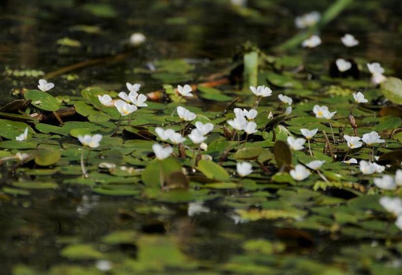 펜션 Vila Delta Travel   Mila 23