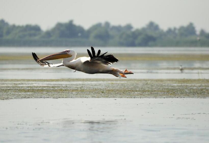 펜션 Vila Delta Travel   Mila 23