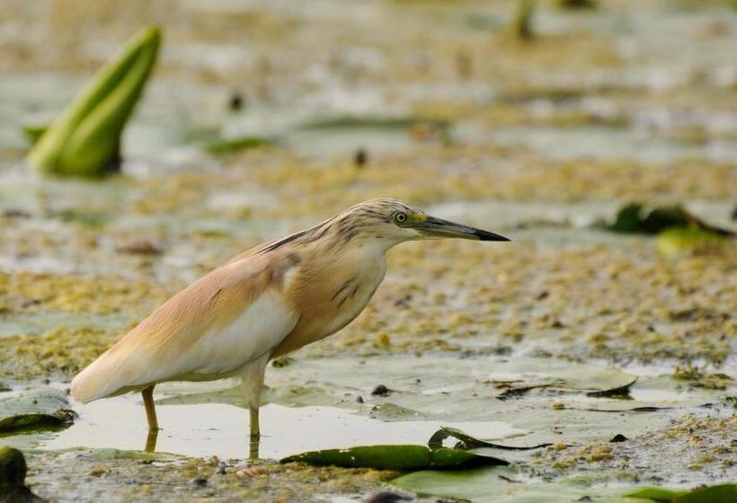 펜션 Vila Delta Travel   Mila 23