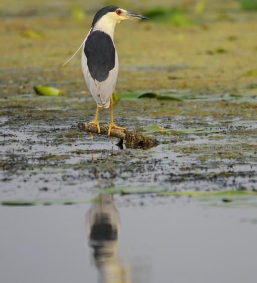 펜션 Vila Delta Travel   Mila 23