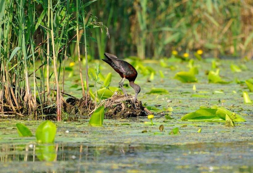 펜션 Vila Delta Travel   Mila 23