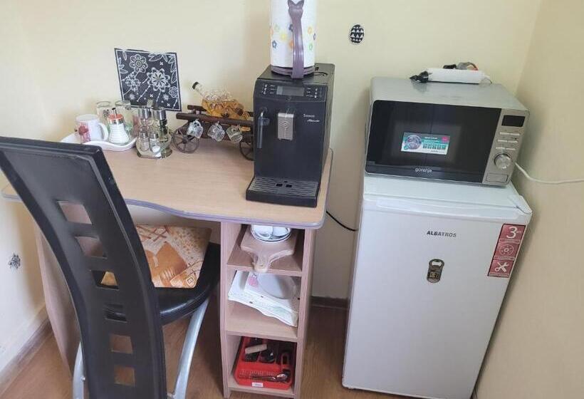 پانسیون Vila La Izvorul Putinei