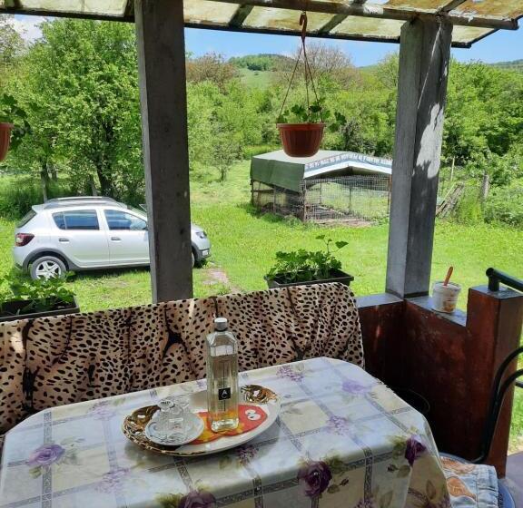 펜션 Vila La Izvorul Putinei