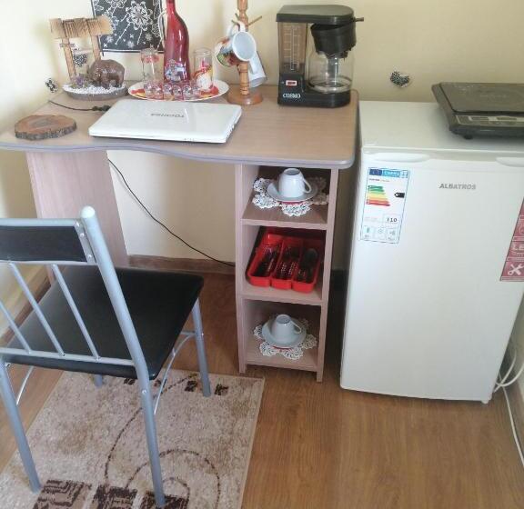 펜션 Vila La Izvorul Putinei