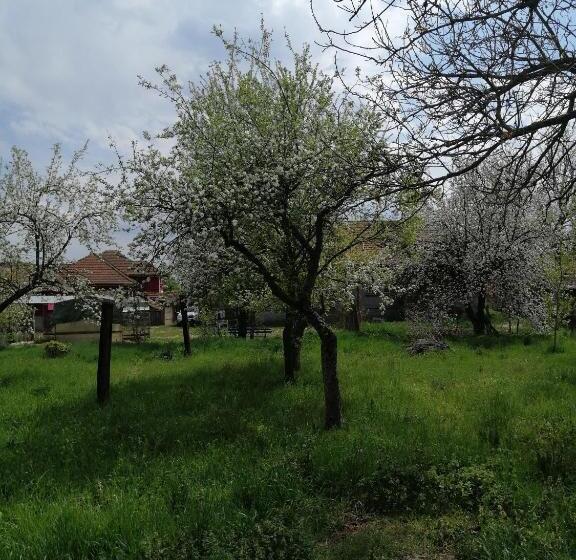 펜션 Vila La Izvorul Putinei