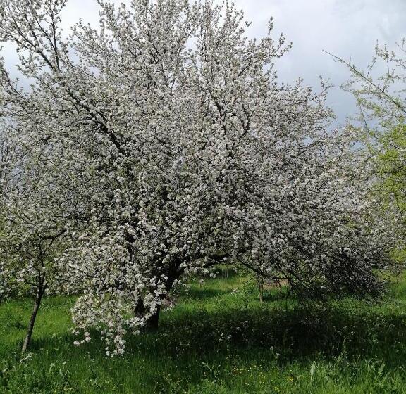 펜션 Vila La Izvorul Putinei