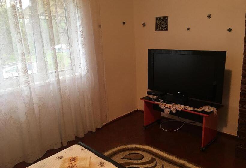 펜션 Vila La Izvorul Putinei