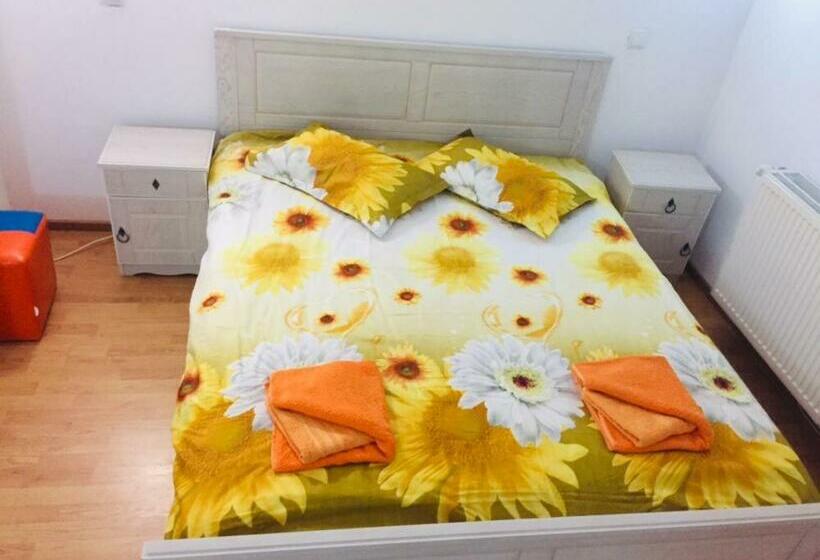 ペンション Vila Ranca