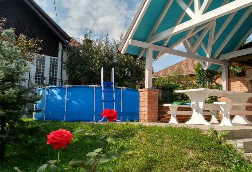 Пансион Vila Slanic