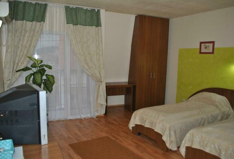 بنسيون Vila Veche