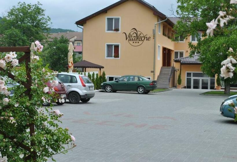 بنسيون Vila Veche